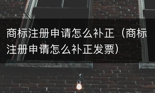 商标注册申请怎么补正（商标注册申请怎么补正发票）
