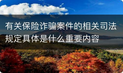 有关保险诈骗案件的相关司法规定具体是什么重要内容