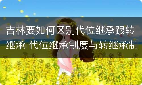 吉林要如何区别代位继承跟转继承 代位继承制度与转继承制度有哪些不同