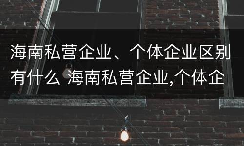 海南私营企业、个体企业区别有什么 海南私营企业,个体企业区别有什么特点
