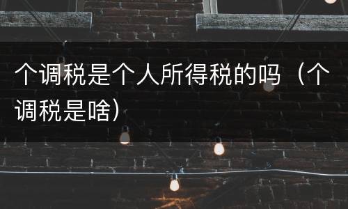 个调税是个人所得税的吗（个调税是啥）