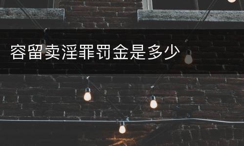 容留卖淫罪罚金是多少