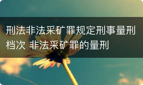刑法非法采矿罪规定刑事量刑档次 非法采矿罪的量刑