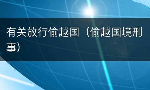 有关放行偷越国（偷越国境刑事）