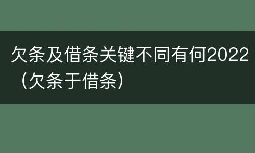 欠条及借条关键不同有何2022（欠条于借条）