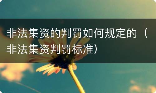 非法集资的判罚如何规定的（非法集资判罚标准）