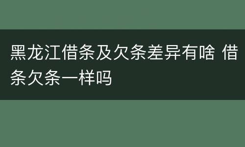 黑龙江借条及欠条差异有啥 借条欠条一样吗