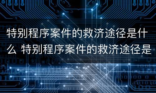 特别程序案件的救济途径是什么 特别程序案件的救济途径是什么意思