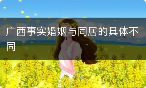 广西事实婚姻与同居的具体不同