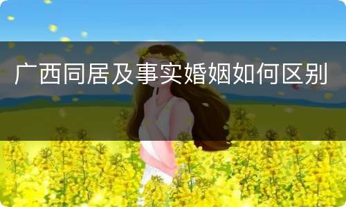 广西同居及事实婚姻如何区别