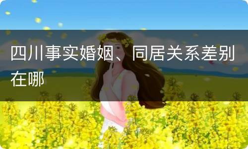 四川事实婚姻、同居关系差别在哪