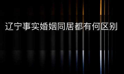 辽宁事实婚姻同居都有何区别