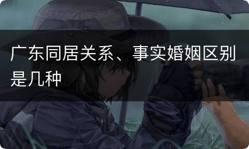 广东同居关系、事实婚姻区别是几种