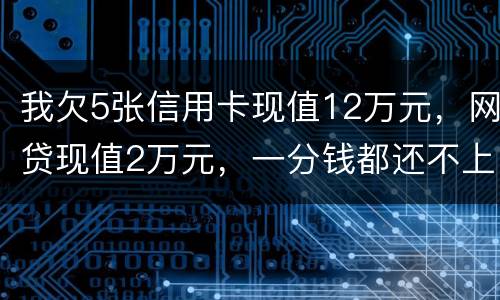 我欠5张信用卡现值12万元，网贷现值2万元，一分钱都还不上了，会判多少年