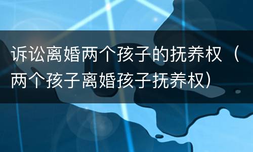 诉讼离婚两个孩子的抚养权（两个孩子离婚孩子抚养权）