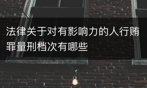 法律关于对有影响力的人行贿罪量刑档次有哪些