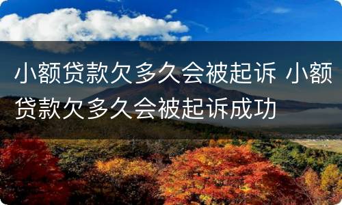 小额贷款欠多久会被起诉 小额贷款欠多久会被起诉成功