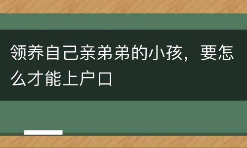 领养自己亲弟弟的小孩，要怎么才能上户口