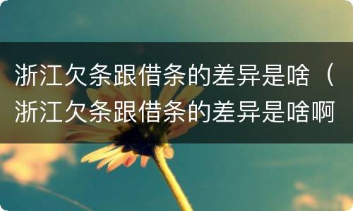 浙江欠条跟借条的差异是啥（浙江欠条跟借条的差异是啥啊）