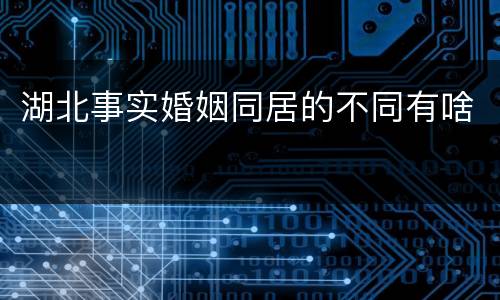 湖北事实婚姻同居的不同有啥