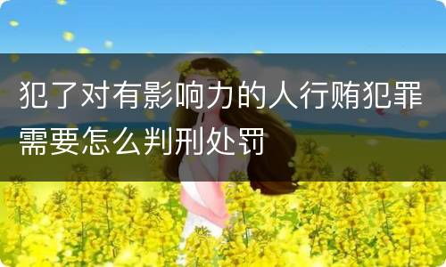 犯了对有影响力的人行贿犯罪需要怎么判刑处罚