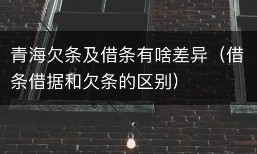 青海欠条及借条有啥差异（借条借据和欠条的区别）