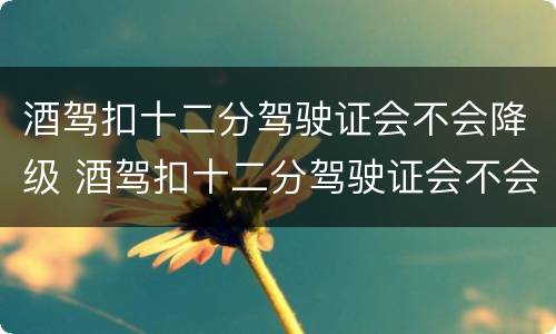酒驾扣十二分驾驶证会不会降级 酒驾扣十二分驾驶证会不会降级了