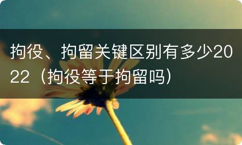 拘役、拘留关键区别有多少2022（拘役等于拘留吗）
