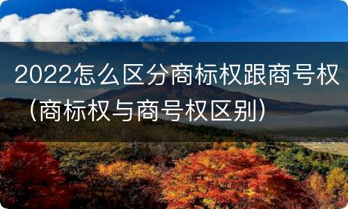 2022怎么区分商标权跟商号权（商标权与商号权区别）