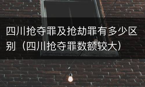 四川抢夺罪及抢劫罪有多少区别（四川抢夺罪数额较大）