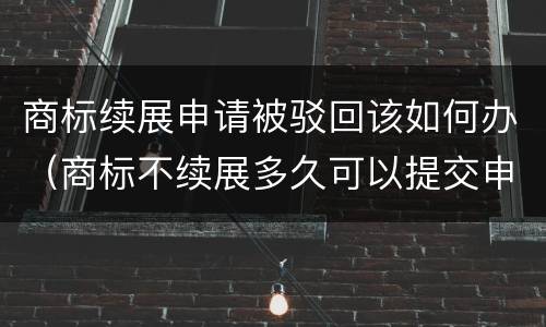 商标续展申请被驳回该如何办（商标不续展多久可以提交申请）