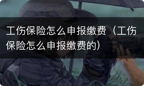 工伤保险怎么申报缴费（工伤保险怎么申报缴费的）