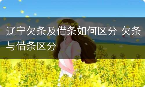 辽宁欠条及借条如何区分 欠条与借条区分