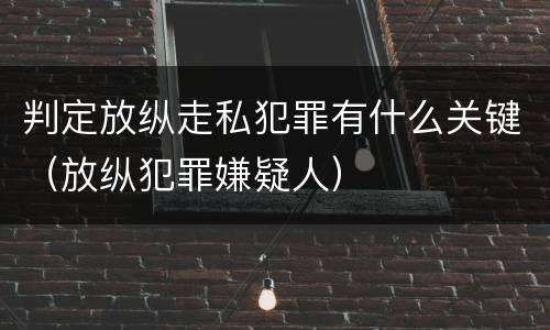 判定放纵走私犯罪有什么关键（放纵犯罪嫌疑人）