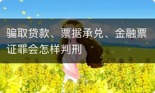 骗取贷款、票据承兑、金融票证罪会怎样判刑