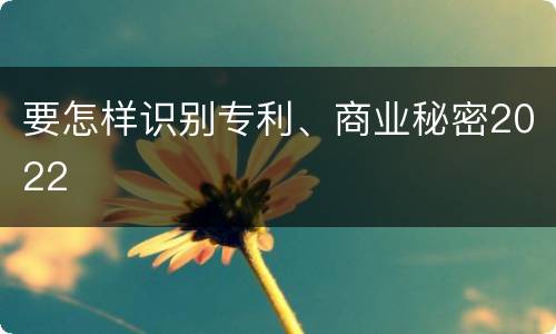 要怎样识别专利、商业秘密2022