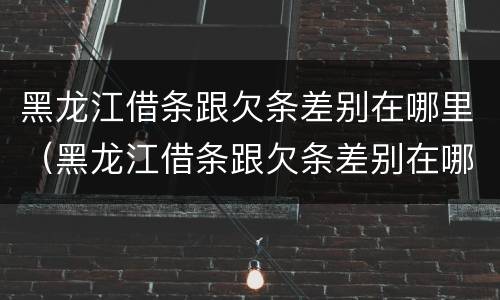 黑龙江借条跟欠条差别在哪里（黑龙江借条跟欠条差别在哪里啊）