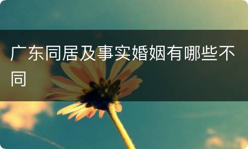 广东同居及事实婚姻有哪些不同