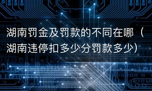 湖南罚金及罚款的不同在哪（湖南违停扣多少分罚款多少）