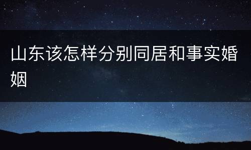 山东该怎样分别同居和事实婚姻