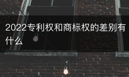 2022专利权和商标权的差别有什么