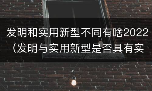 发明和实用新型不同有啥2022（发明与实用新型是否具有实用性）