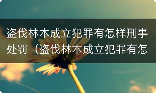 盗伐林木成立犯罪有怎样刑事处罚（盗伐林木成立犯罪有怎样刑事处罚决定）