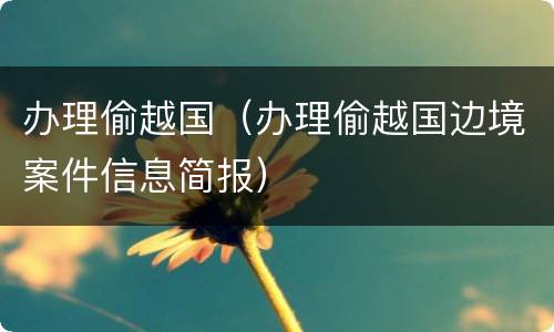 办理偷越国（办理偷越国边境案件信息简报）
