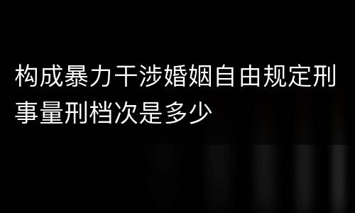 构成暴力干涉婚姻自由规定刑事量刑档次是多少