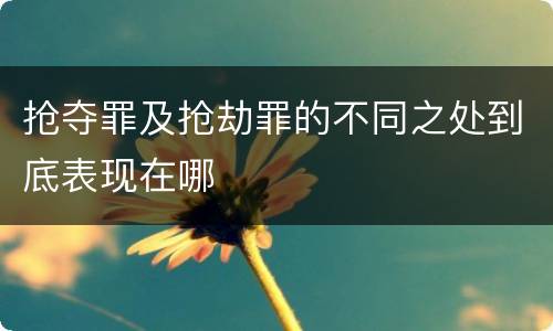 抢夺罪及抢劫罪的不同之处到底表现在哪