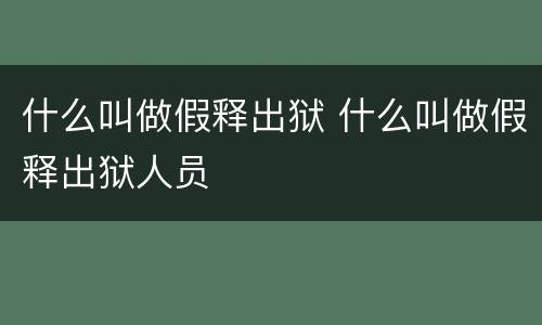 什么叫做假释出狱 什么叫做假释出狱人员