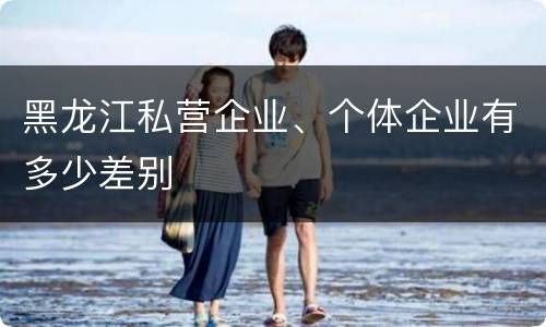 黑龙江私营企业、个体企业有多少差别