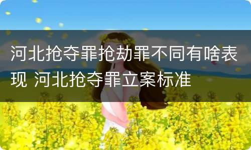 河北抢夺罪抢劫罪不同有啥表现 河北抢夺罪立案标准