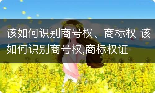 该如何识别商号权、商标权 该如何识别商号权,商标权证